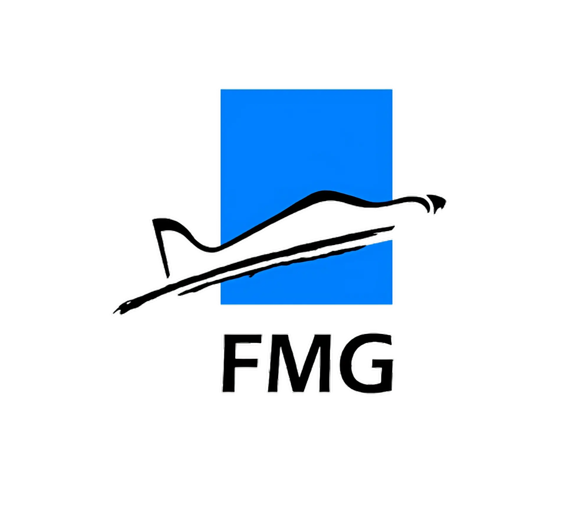 FMG