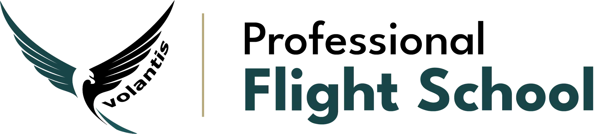 Volantis-Professional-Flight-School